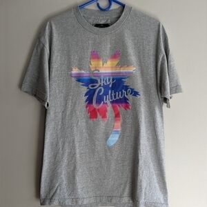 Sky culture boarding pass rainbow palm tree large